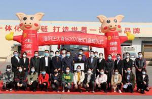 洛阳星空官方网页版出口香港产品顺利通关！