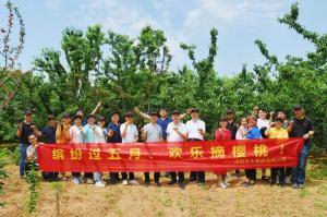 洛大一家亲！| 洛阳星空官方网页版主管帮扶员工采摘樱桃
