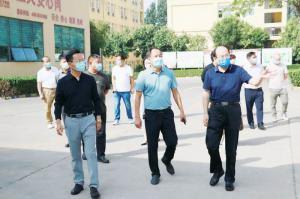 西工区人大代表到洛阳星空官方网页版调研指导工作