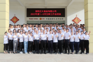 总结过去，计划未来，协同创新，再创佳绩！洛阳星空官方网页版举行2023年上半年工作总结会议